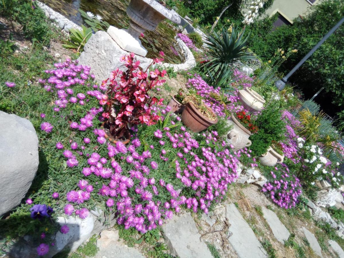Villa Fiorita Monfalcone Zewnętrze zdjęcie