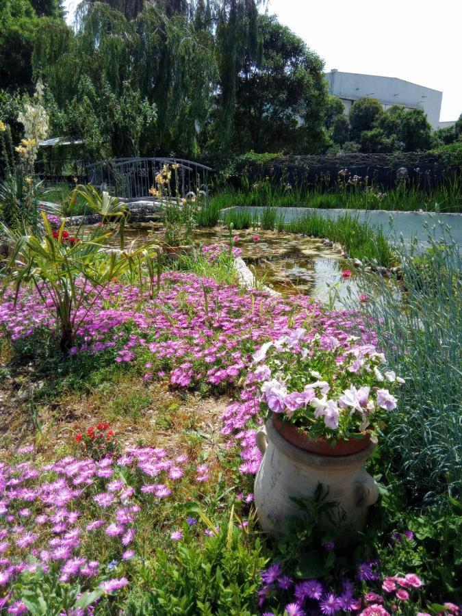 Villa Fiorita Monfalcone Zewnętrze zdjęcie