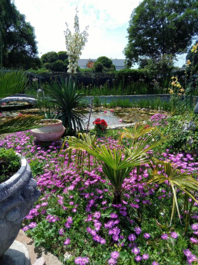 Villa Fiorita Monfalcone Zewnętrze zdjęcie