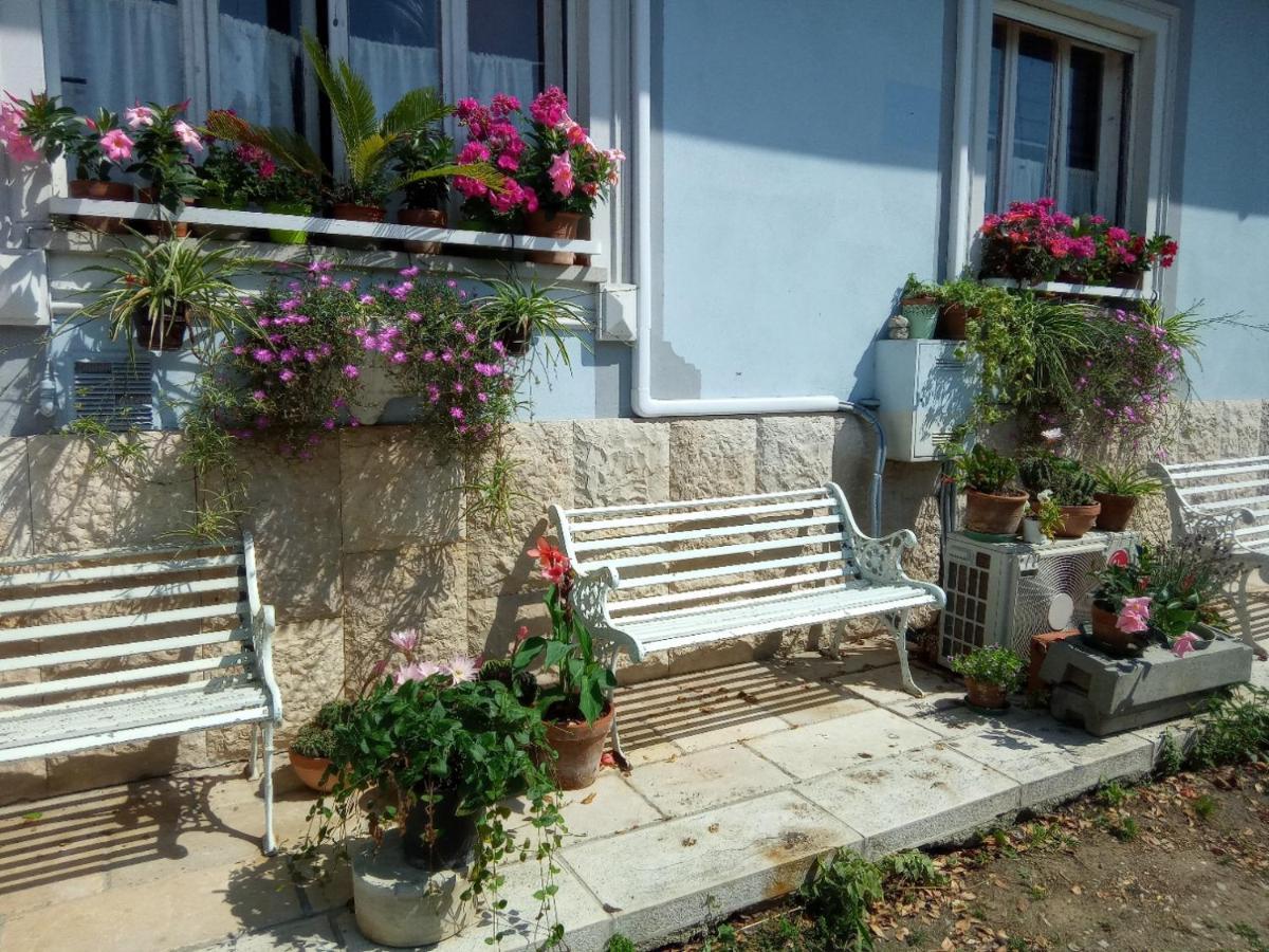 Villa Fiorita Monfalcone Zewnętrze zdjęcie