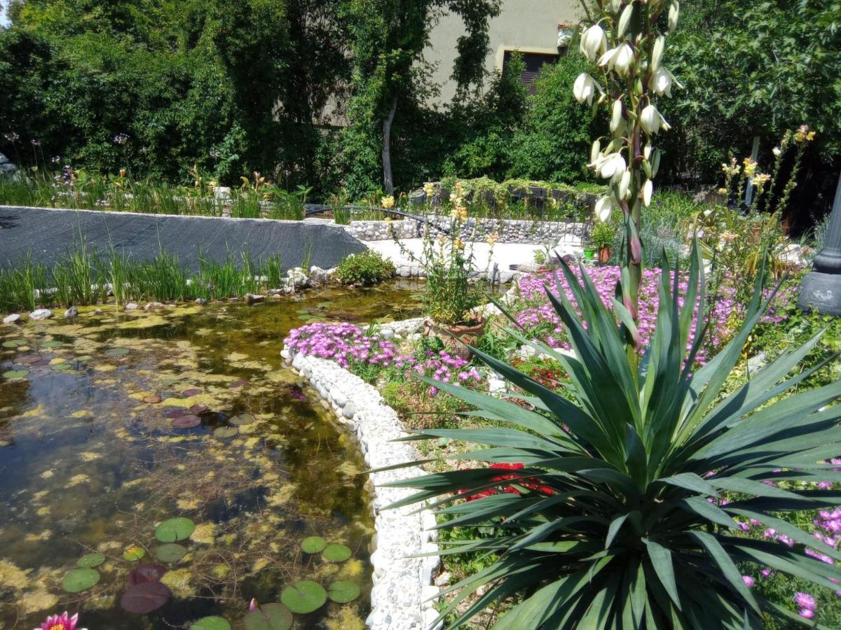 Villa Fiorita Monfalcone Zewnętrze zdjęcie