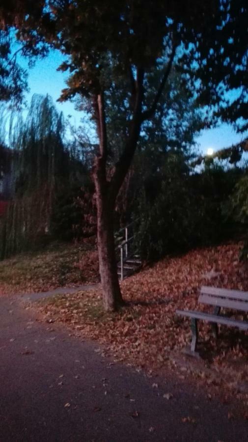 Villa Fiorita Monfalcone Zewnętrze zdjęcie